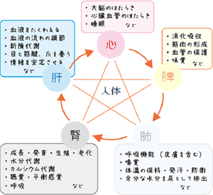 S-SBF活動イメージ