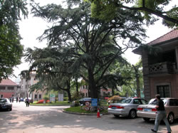 瑞金賓館・モリス邸（中国名：馬立斯花園）